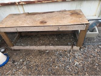 Chicken brooder