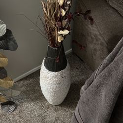 Decorative Plant