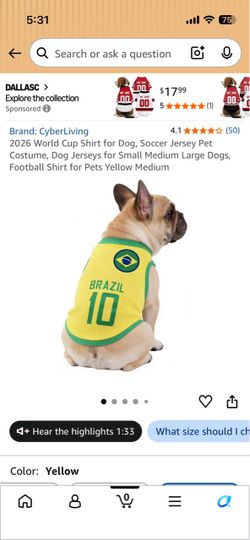 Dog clothes (Brasil)