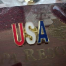 USA Pin