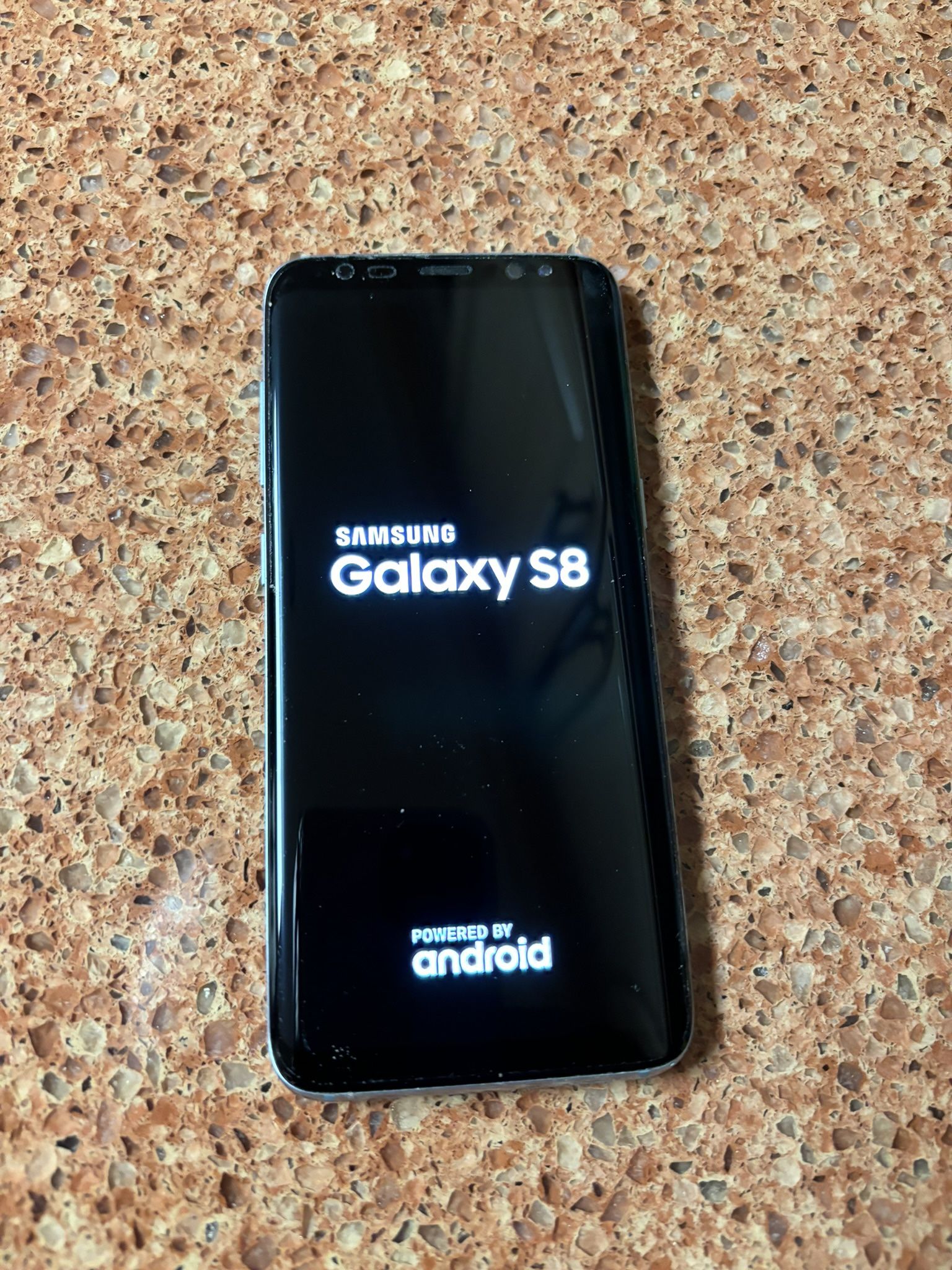 Samsung Galaxy S8