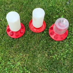 Feeders And Waterers