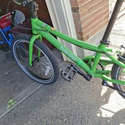 20" BMX  REI   Green Rev 20 Co-oP