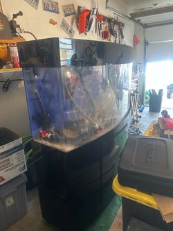 Fish tank