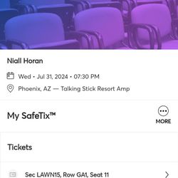 2 Lawn Tix For Niall Horan