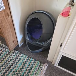 Cat Wisker Robot