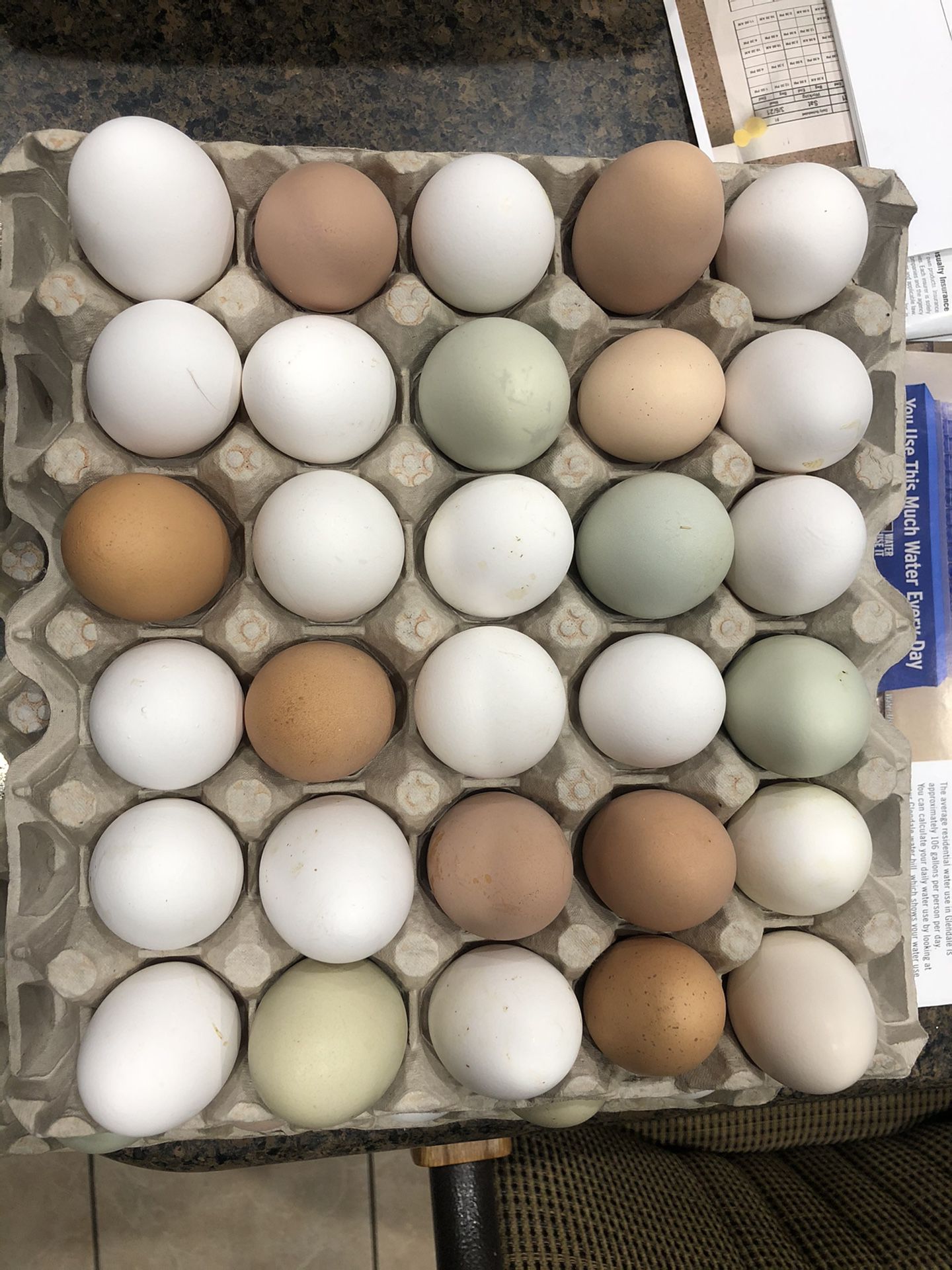 Fresh eggs $4 a dozen