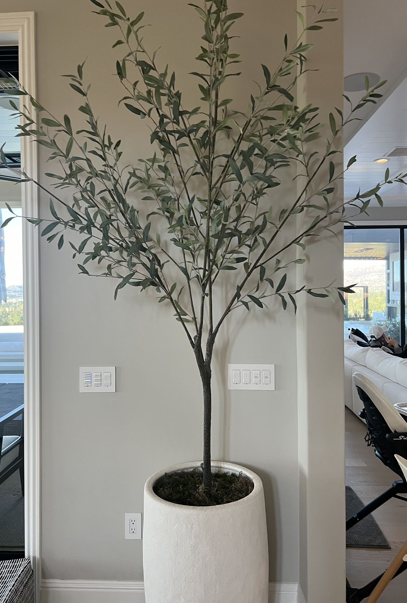 Faux Olive Tree- Pottery Barn
