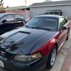 2000 Ford Mustang