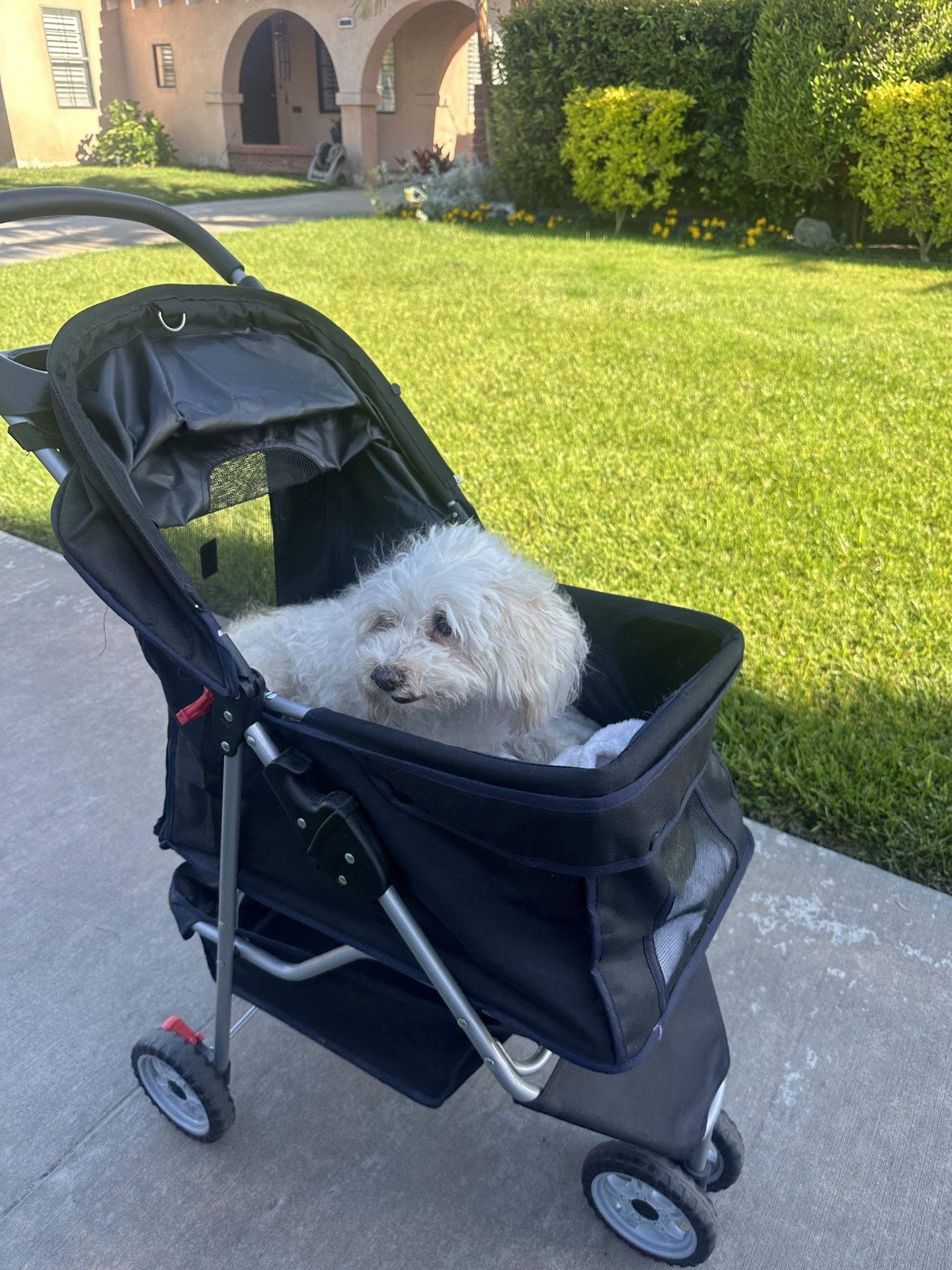 Dog Stroller