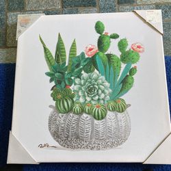 Cacti In A Bowl Picture 