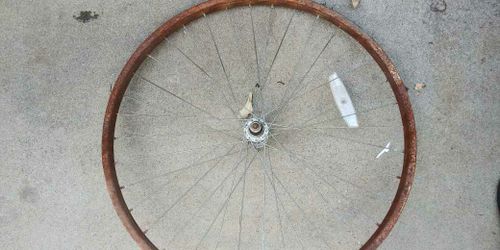 26 In Beach Cruiser Rim