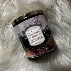 BATH & BIDY WORKS CANDLE