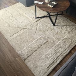 5x7 Fluffy rug