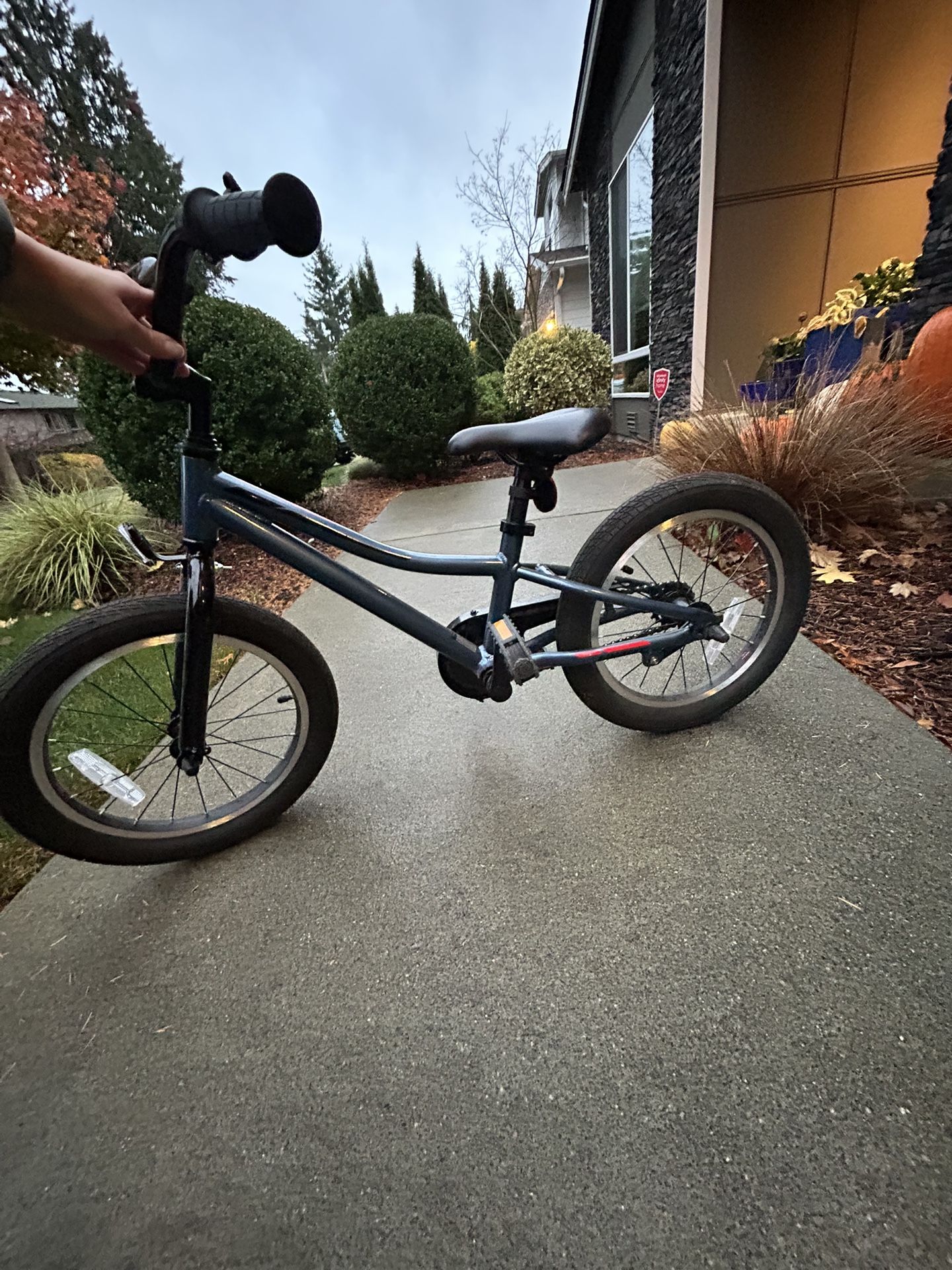 GIANT 16inch Animator Bike