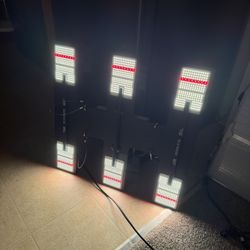 HLG Blackbird LED grow light 