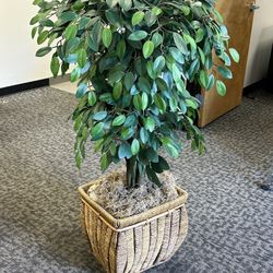 Very Beautiful Large Artificial Plant 52” 
