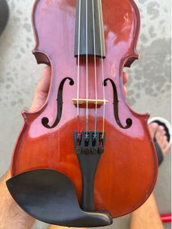 Viola