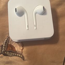 Apple Headphones 