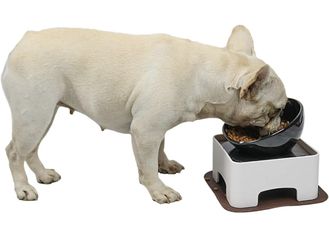 NEW IN BOX Raised Tilted Dog Feeding Bowl,Elevated Ceramic Dog Bowls Set Anti-Slip,Standing Pet Feeding Dish for Small Medium Dogs and Cats,Black Feat