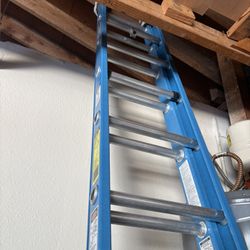 20’  Werner Ladder