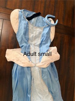 Cinderella adult size small costume