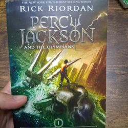 The Lightning Thief, the book