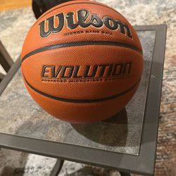 Wilson Evolution Basketball