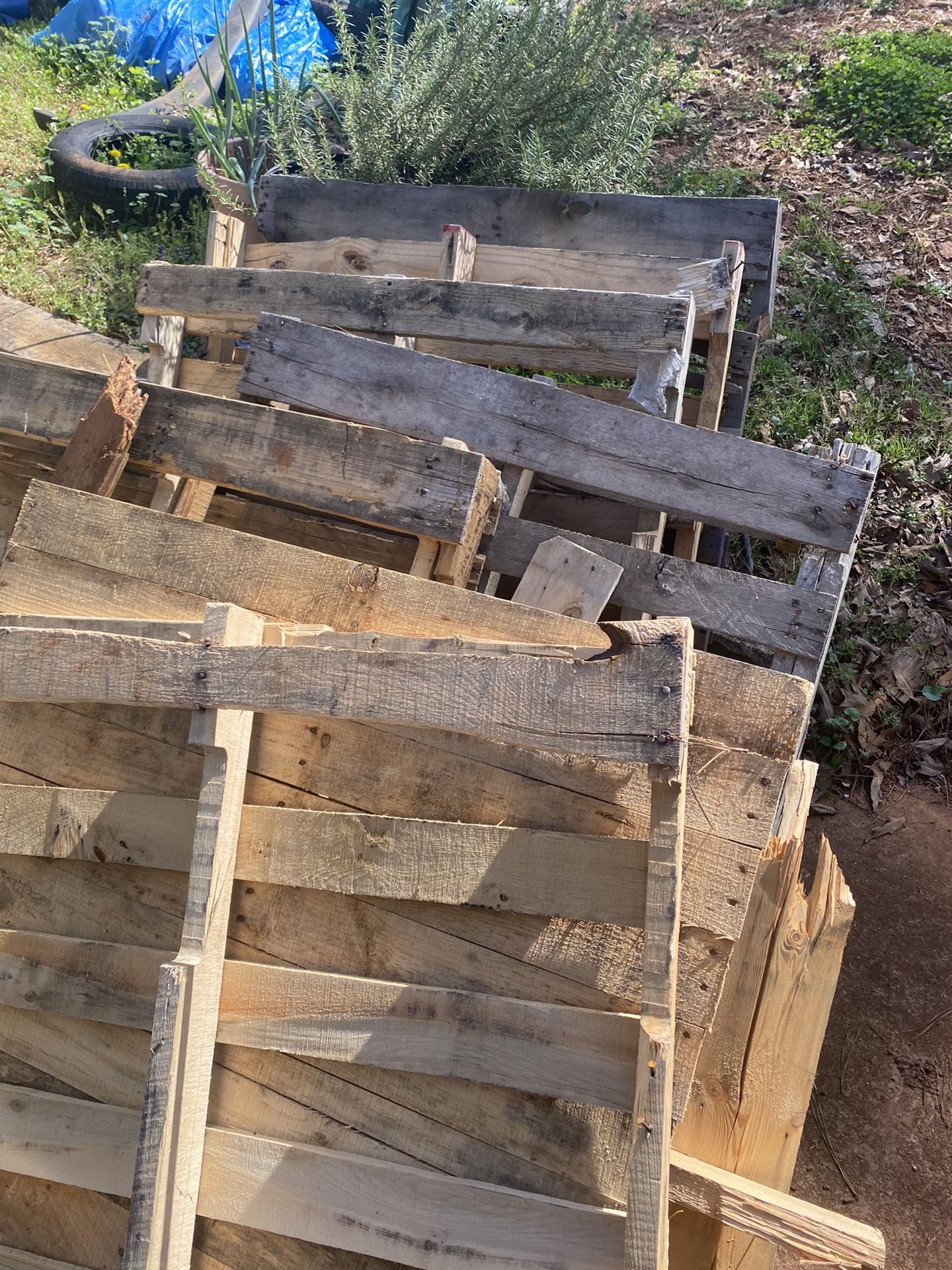 8 Pallets