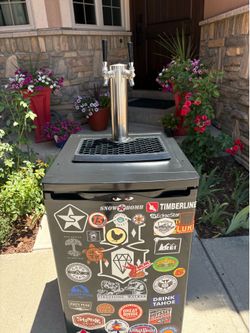 Kegerator dual tap