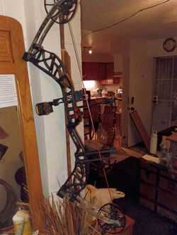 Blackout Distinct compound bow
