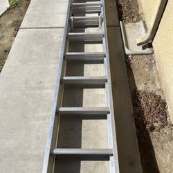 Werner 16 Ft Ladder