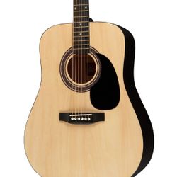 Guitar - Rogue RA-090 Dreadnought