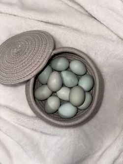 Organic Eggs 