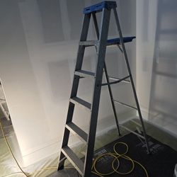 6 Ft Werner Ladder 