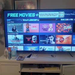 65 Inch Vizio Smart TV 