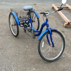 Schwinn Meridian Trike