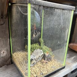  Fish Tank 