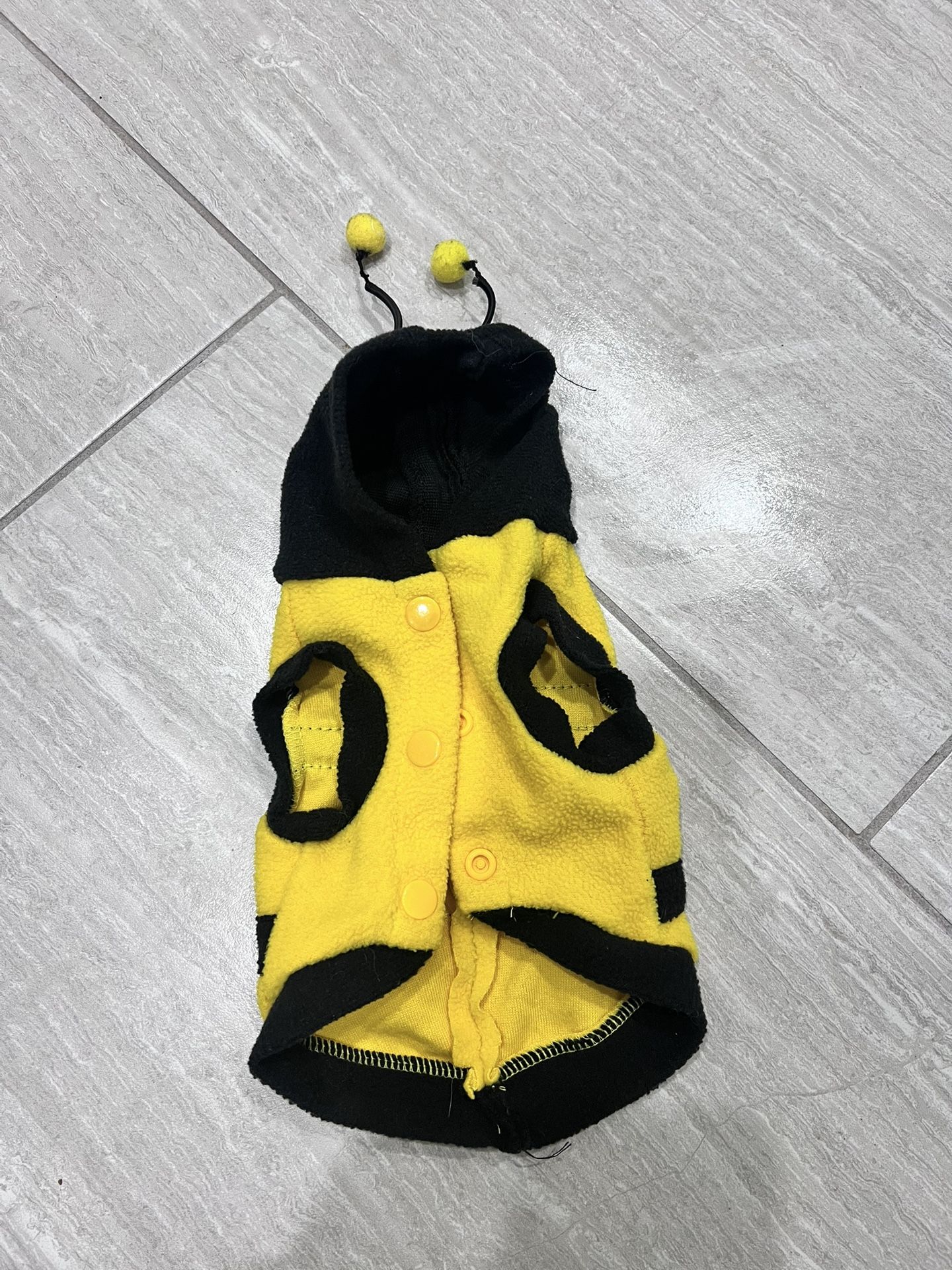 XS Dog Bee Costume