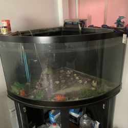 55 Gallon Fish tank With A Stand And Pumps for It 