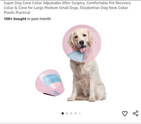 Dog cone lx