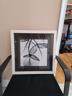 Framed Picture  Of Leaves