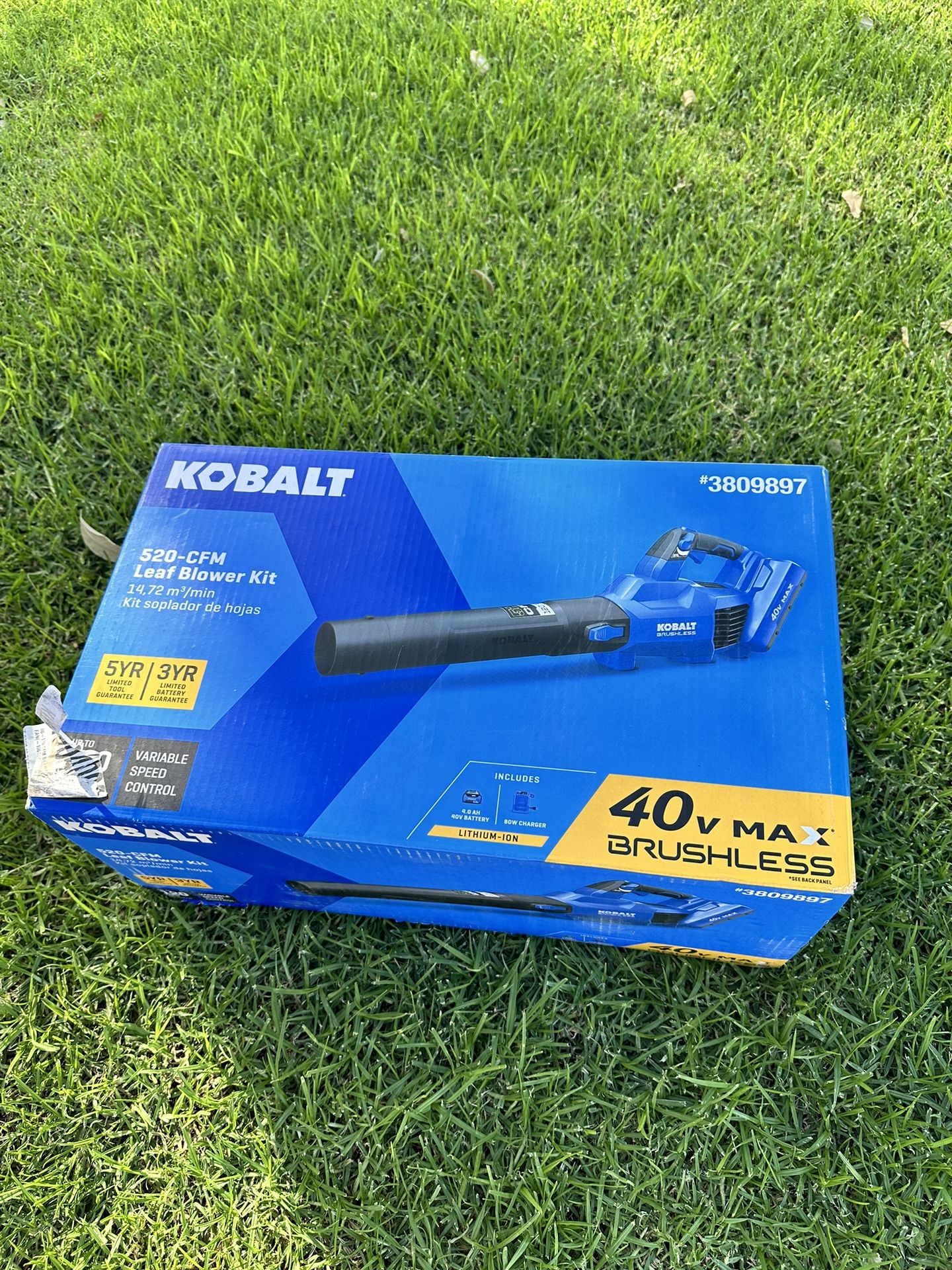 Leaf Blower (Brand New!)