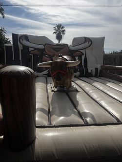 Toro Loco