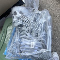 Life size Skeleton About 5’ 5” Posable. Brand New