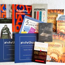 High School & Jr High Teaching Tutoring Homeschool Curriculum Textbooks BJU Saxon for Writing Math Spanish & Economics