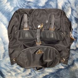 Prada Purse......Asking $275