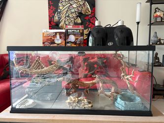 50-Gallon Reptile Tank – Complete Setup with Lights & Accessories – $175 OBO