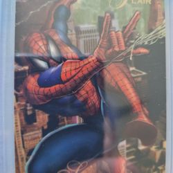 94 Flair Spider-Man!