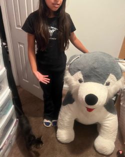 Stuffed dog